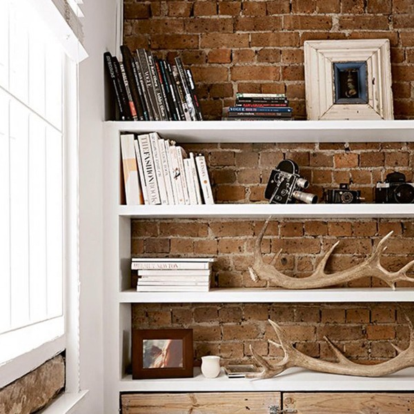 Shelves of books in apartment