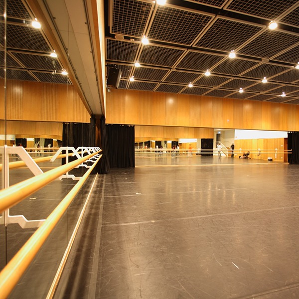 Ballet and Dancing room