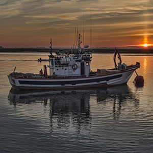 Commercial Fisher Boat in Water