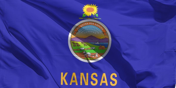 Kansas Flag