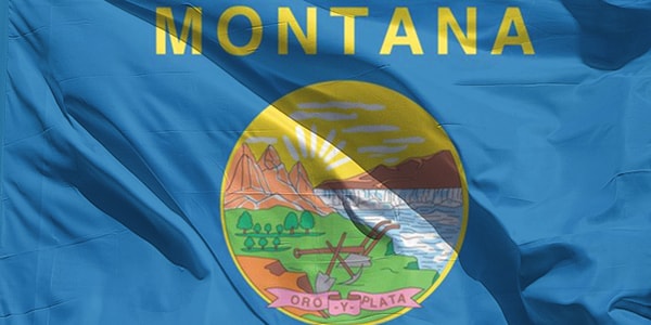 Montana Flag