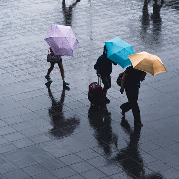 People walking with umbrellas