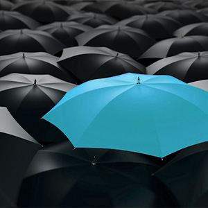 Reinsurance Program Single blue umbrella standing out in sea of black umbrellas