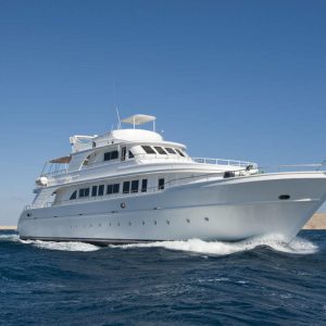 Large-Motor-yacht-800x800