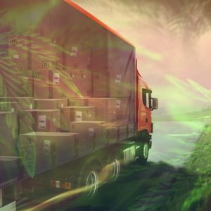 cannabis-transportation-program